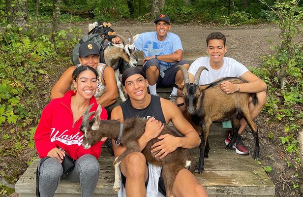 Goat Hiking, Beaver Dam Visit and picnic in Quebec forest