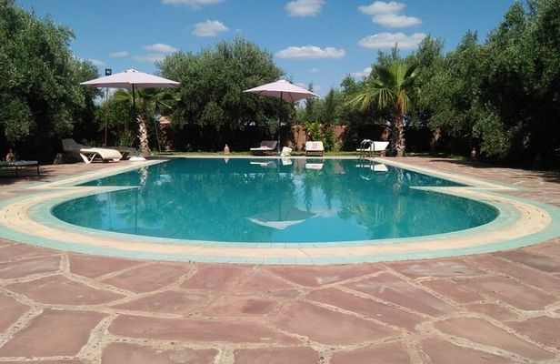 Day pool lunch and camel around Marrakech