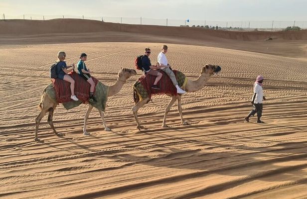 Dubai Sunset Camel Ride with Desert Safari