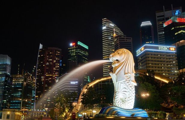 Singapore: 4 Hours - Private Car or Minibus Rental with Driver