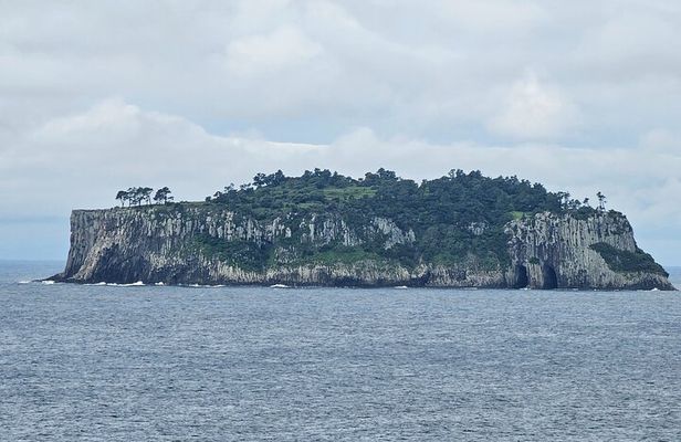 Private Full-day Package Tour - South & East of jeju island