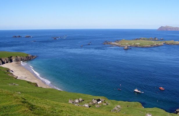 Dolphin & Whale Watching (4hrs) + Blasket Island Landing (3hrs)