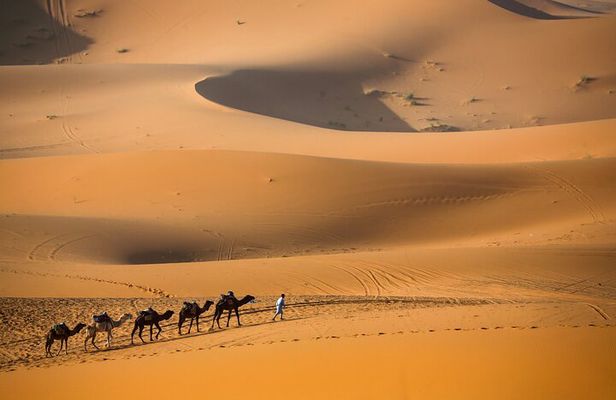 Private 3 Days Tour from Marrakech to Merzouga