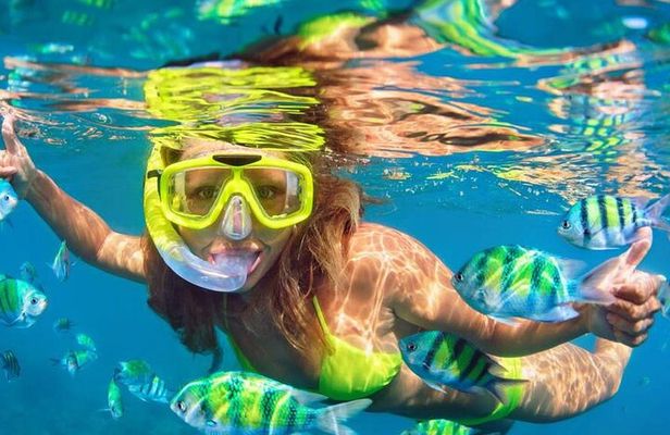 Blue Lagoon Snorkeling with Lunch and Private Transport