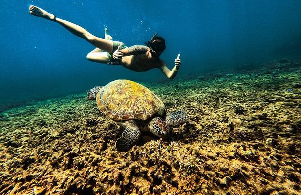 Full Day Snorkeling in Perhentian Island