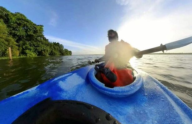 Kerala Backwater Village Kayaking Tour: Alleppey