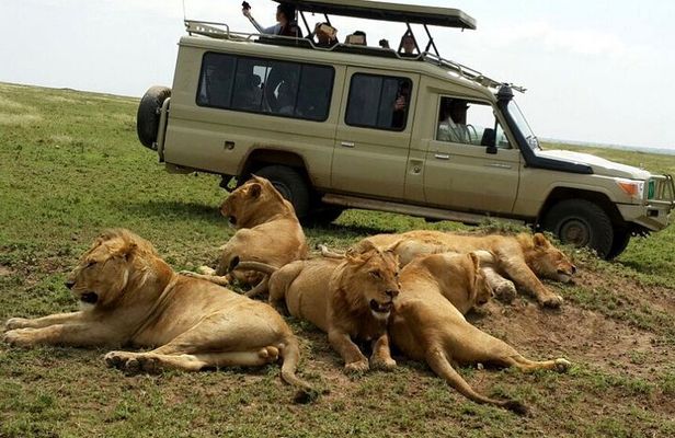 8 Day private wildebeest migration safari Serengeti Ngorongoro