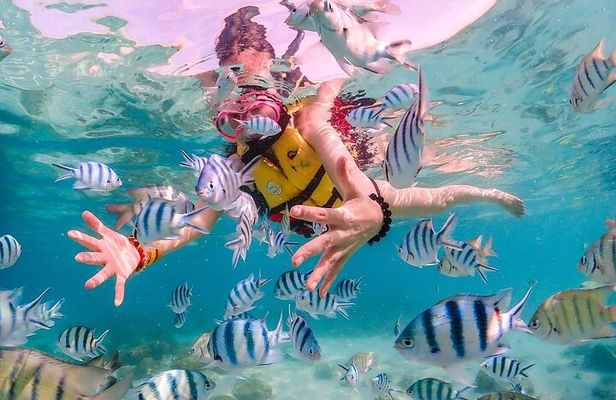 Experience Pattaya Tour with Water Activities 