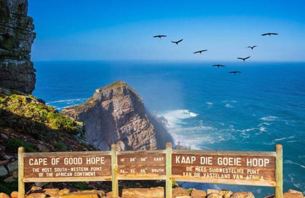 Cape of Good Hope Penguins Private Tour Customizable Experience