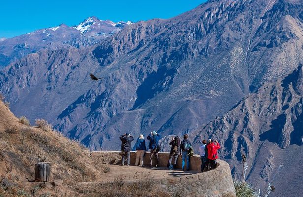 2 Days of Natural Experience in the Colca Canyon