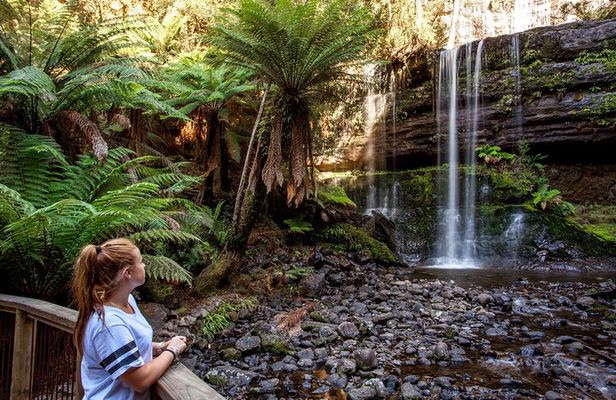 Hobart: Waterfalls, Wilderness & Wildlife - Active Day Tour