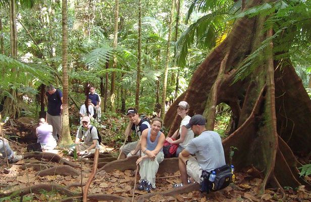 St. Kitts Rainforest Rumble (with Snacks)