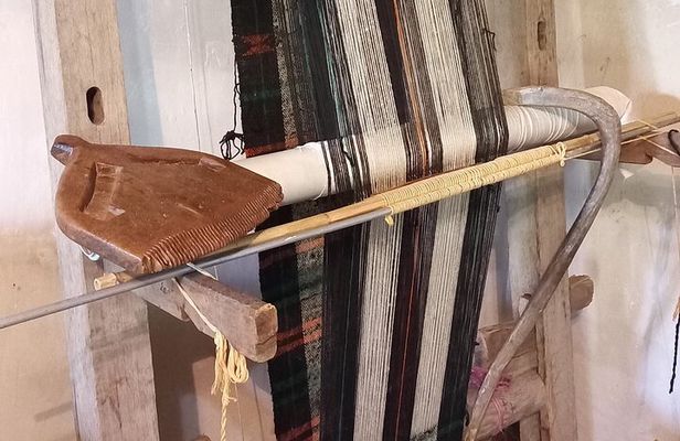3 Hours Wool Tour in Zemo Alvan