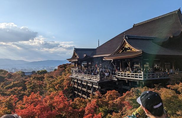 Tour in Kyoto with a Goverment Certified Tour Guide