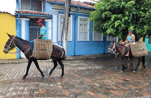 Private Countryside Full-Day Tour to Cachoeira - Lunch Included