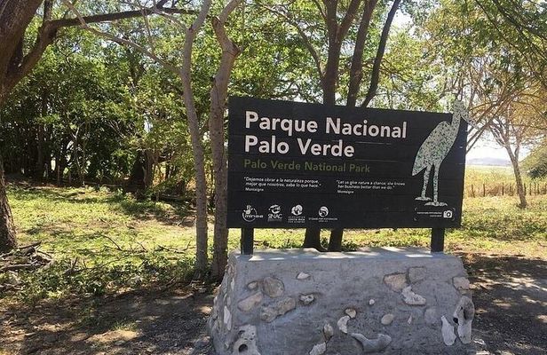 Full Day Private Tour of Palo Verde National Park