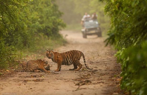 05 Days - Private Luxury Golden Triangle Tour with Ranthambore