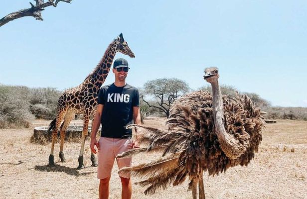 Nature Walk with Giraffes in Mombasa
