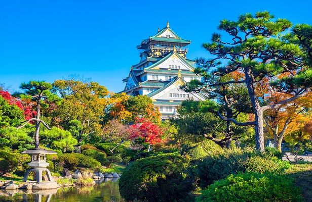 Tour and Food Tour in Osaka with Goverment Guide All incluided
