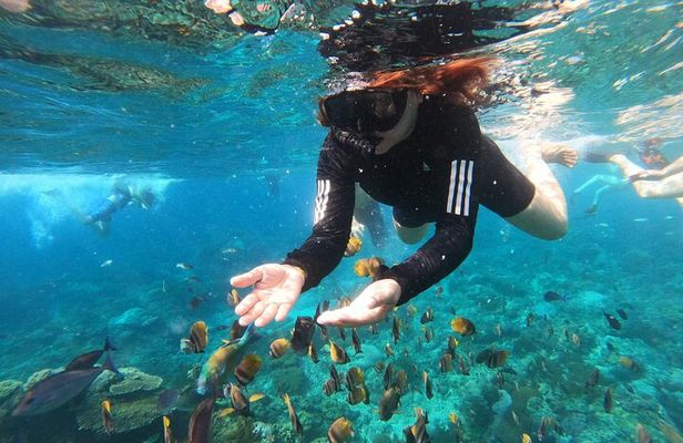 Snorkeling at Blue Lagoon & Tanjung Jepun All Inclusive
