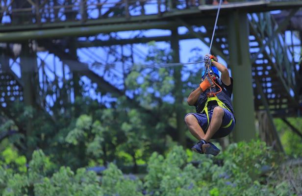 Jungle Adventure: Ziplines, Cenote Swim, Snack & Transportation