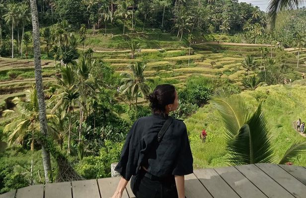 Ubud Rice Terrace, water Temple and Waterfalls Private tour