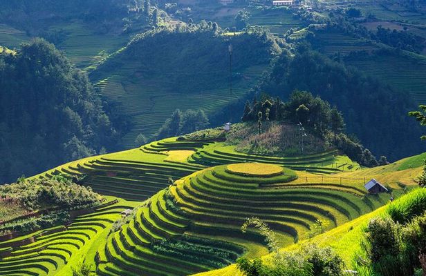 8-Days Hanoi, Sapa Trekking And Halong Bay Cruise