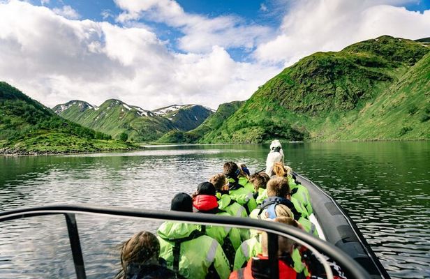 RIB Expedition to Seiland National Park - 3.5h