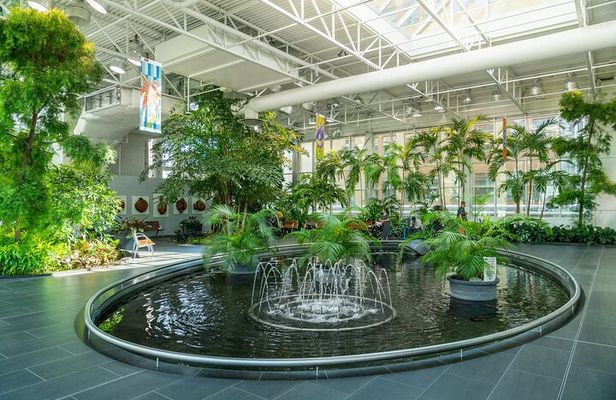 Private Calgary City Highlights 2 Hour Walking Tour