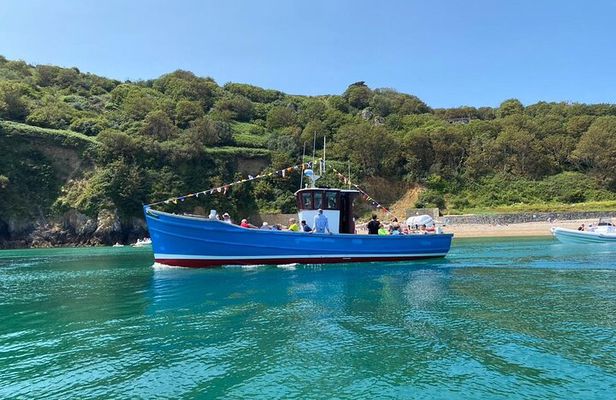 Unrivalled Coastal Tour to Saint's Bay Harbour