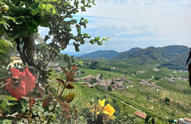 Prosecco Hills Wine and Food Tour from Venice and Treviso