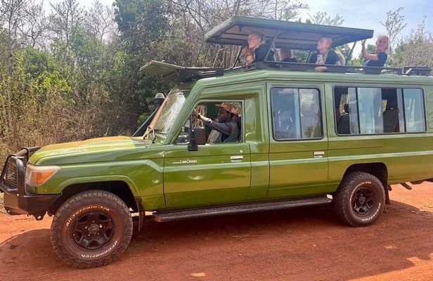 1 Day Akagera National Park Private Safari