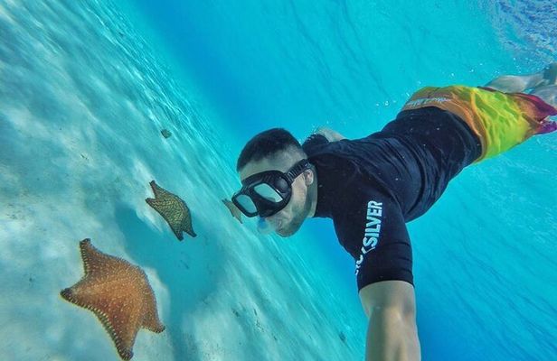 Cozumel by transparent boat and snorkeling in the sky with lunch.