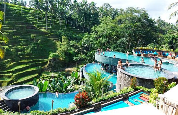 Ubud Tours and Cretya Day Club Pool 