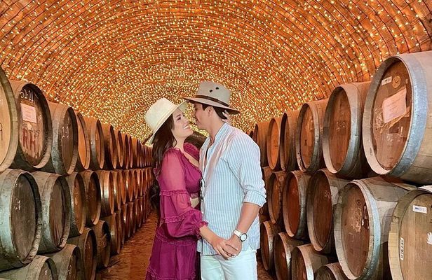 Private Full-Day Tour to Tequila Pueblo Magico