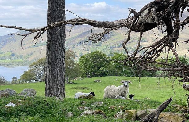 Culloden and standing stones Outlander Day Tours from Edinburgh