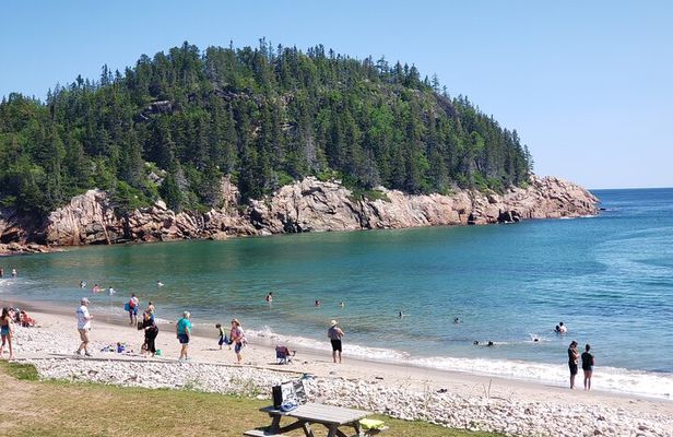 Shared Cruise Excursion - "Mini" Cabot Trail