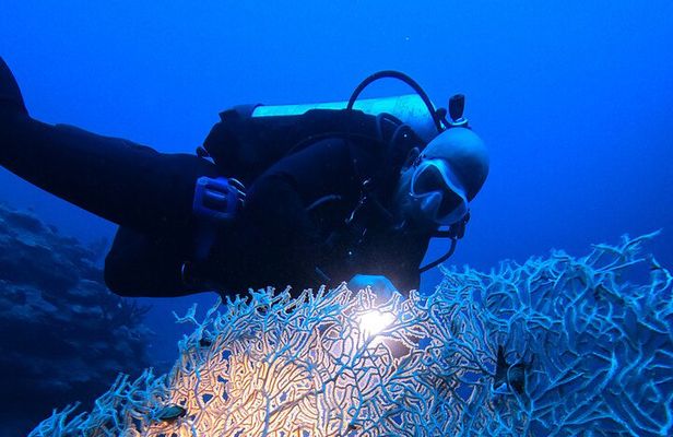 2 Hour Private Night Diving in the Red Sea of Aqaba