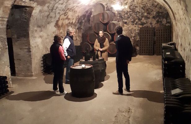 Independent visit DE cellar and tasting in the vineyards