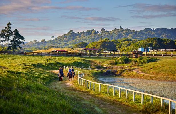 Kuranda Half Day Including Horse Trail Ride and Petting Zoo