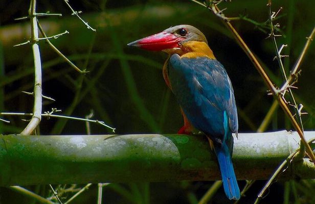 Nam Cat Tien National Park 2 Days 1 Night - Private Tour