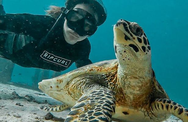 Similan Islands Private Tour