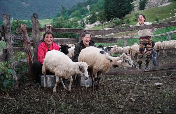 Immersive 2-Day Tour/Homestay with Shepherds in the Albanian Alps