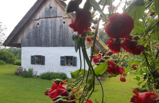 Private Tour in Kamnik - Mammoth - Farmhouse and Organic Farm