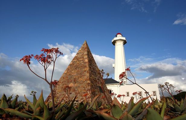 Port Elizabeth Safari and City Tour from Gqeberha