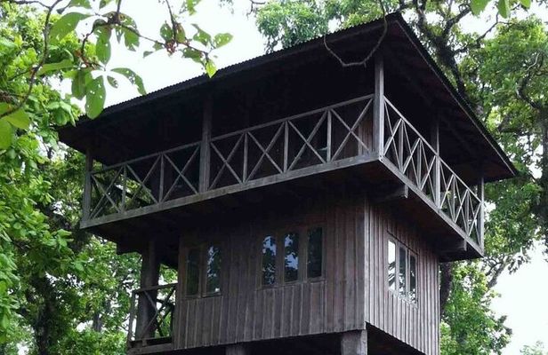 2 Nights 3 Days Jungle Tower Stay Package :Chitwan National Park