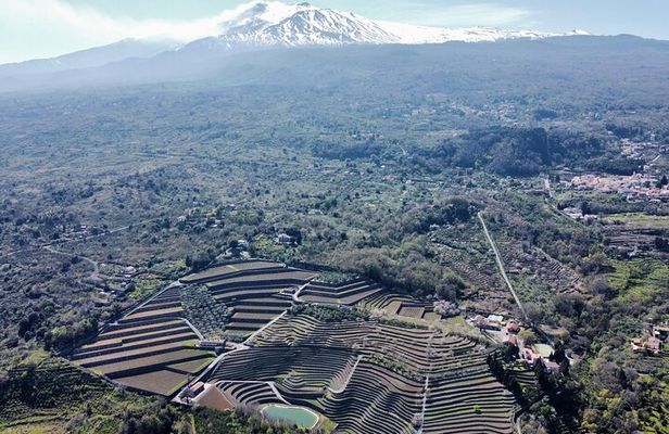 Etna panoramic private tour and Wine taste and food combination