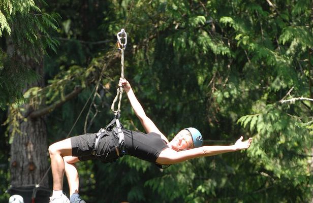 Guided Canopy Tour w/Transportation
