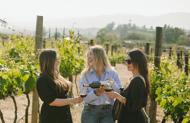 Private Wine Tour by Ansell Tours