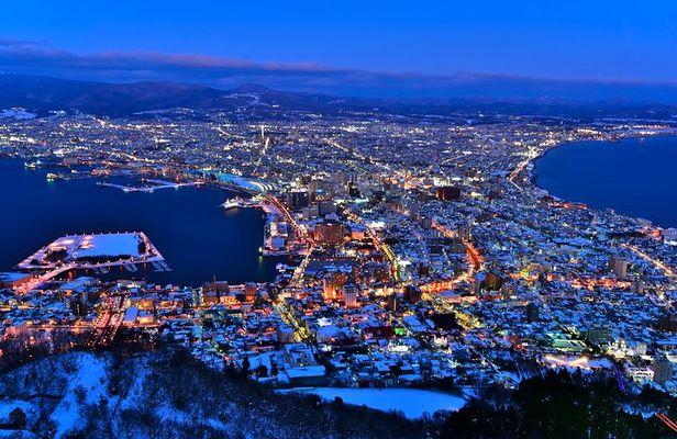Port Pick-Up: Hakodate Tour with Licensed Guide and Vehicle